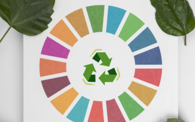Integración de la Agenda 2030 en la acción de gobierno: ODS de la teoría a la práctica